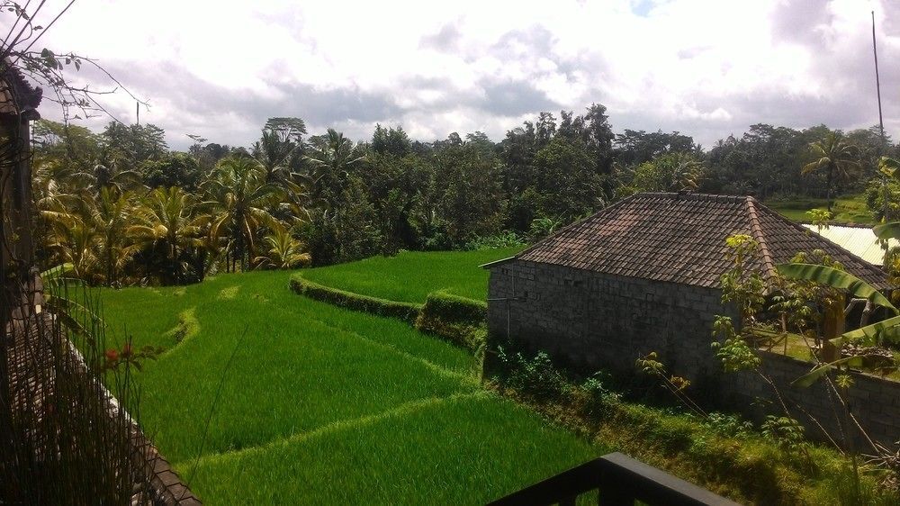 Dukuh Village Villas & Art Tegallalang  Exterior foto